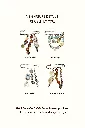 pin (4).webp